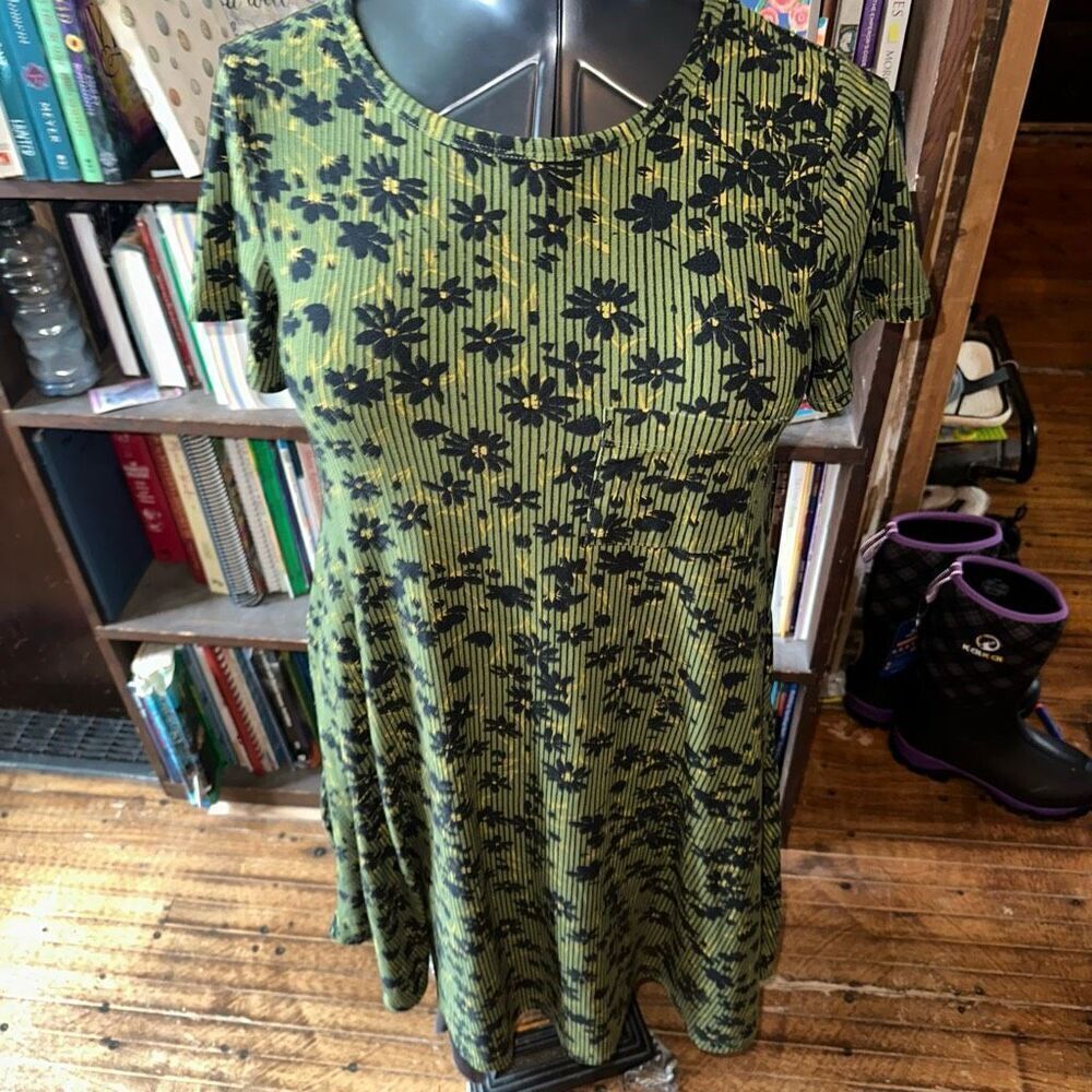 LuLaRoe green daisy travelcore XXS Carly Swing Dress